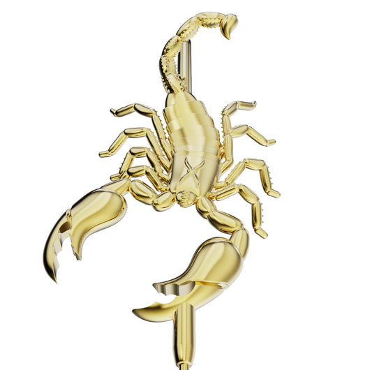 Fierce Scorpion